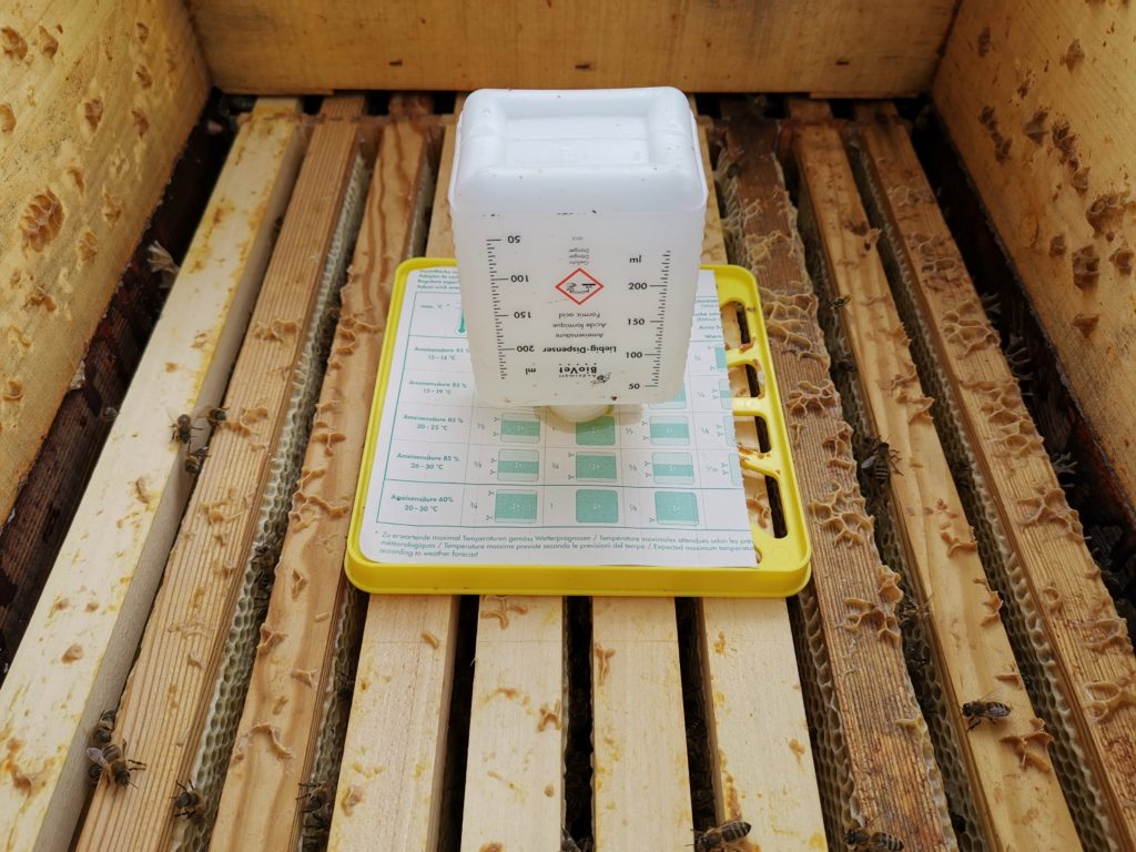 Ameisensäure-Behandlung gegen Varroa 2019