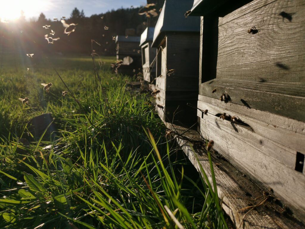 Flugbetrieb am 13/03/2023