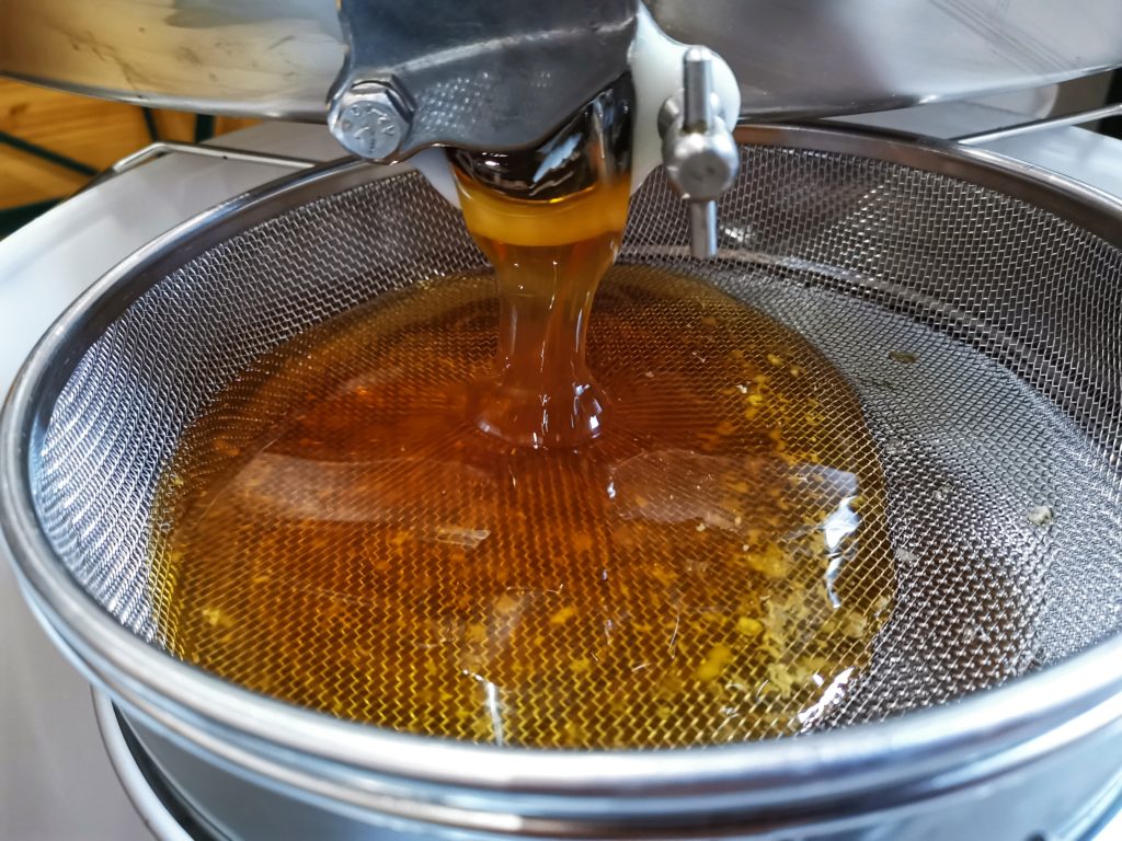 Frühlingsblüte 2019