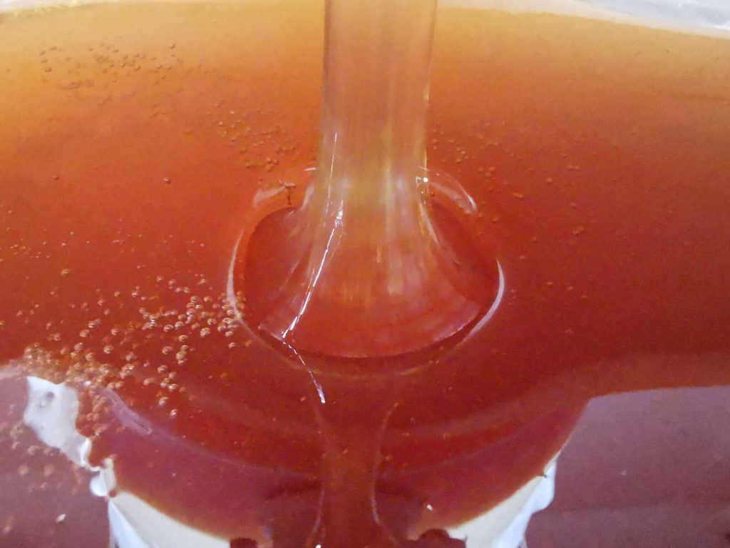 Honigschleuderung Frühlingsblüte 2020