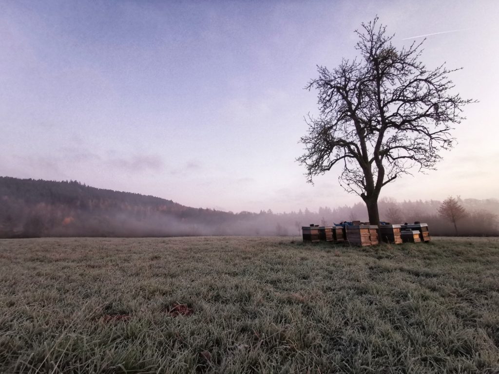 Weihnachtsgruß aus der Imkerei 2019